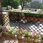 Apartment Patio Mare Amber