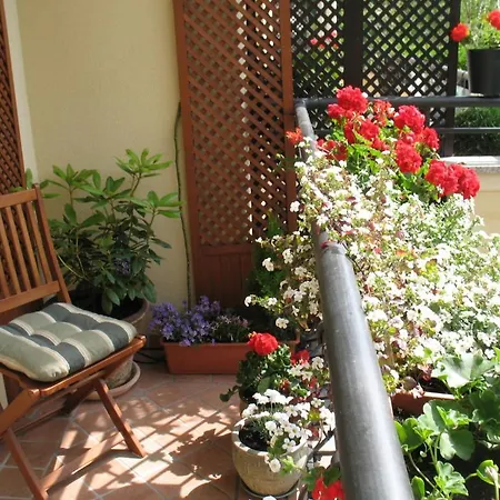 Patio Mare Amber *